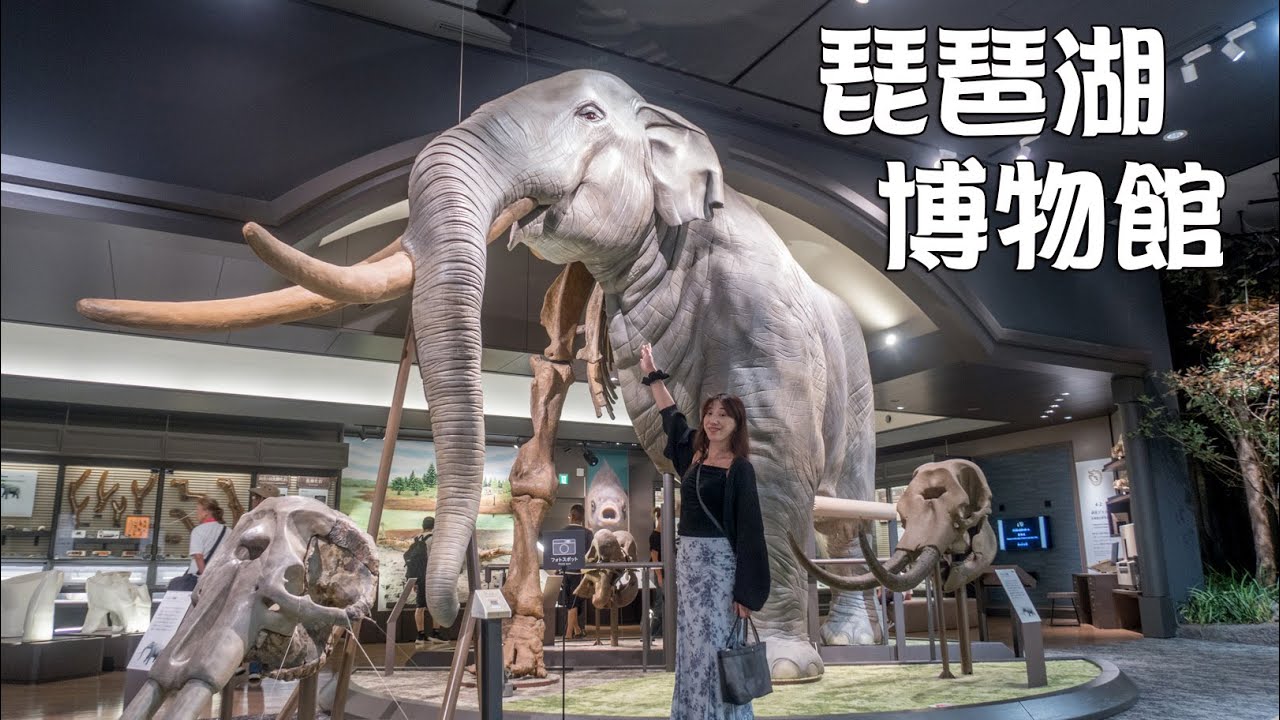 琵琶湖博物館☆広大な館内にスゴイ量の展示物【格安】【夏休み】【自由研究】