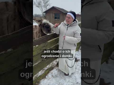 Obrazek poglądowy filmu YouTube