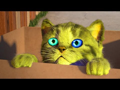 Baby Learn Colours With My Little Kitten Pet Care | Children Colors Cat Educational by Fox and Sheep