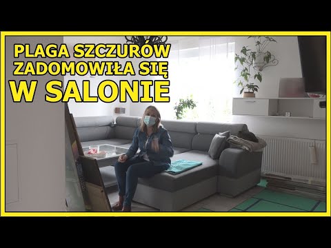 GŁOGÓW. Szczury zrobiły tunele pod ich podłogą