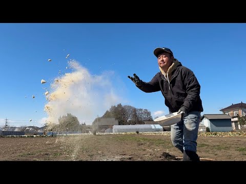 塚原農園様　ほうれん草が大きく育つ土作りと種まき