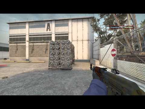 [CSGO] Last-Round, Last-Bullet Clutch (CEVO pug)