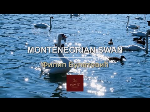 Filip Bulatović - "Montenegrian Swan" - RIMUS 2024.