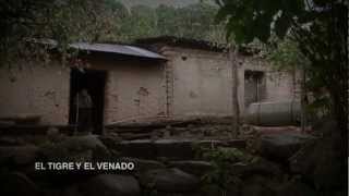 TRAILER EL TIGRE Y EL VENADO