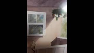🌈🌈コロナ禍の家族との死別で学んだ大切なこと。今日あなたに必ずやって欲しいたった1つのこと！