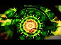 Llewellyn 4 Heart Chakra Anahata - Kalp Çakrası