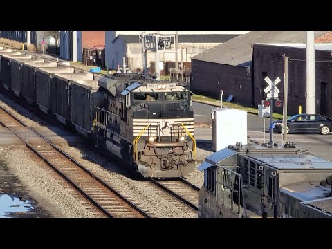 NS 810 and 823 meet at Lambert's Point 2021-03-08