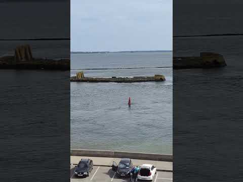 25 August 2025 #travel #beach #nature