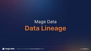 Data Lineage