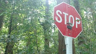 【DIY】I Built Road sign guitar 【STOP】