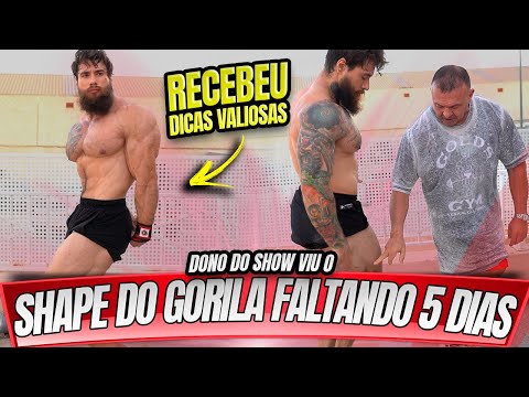GORILA FOI AVALIADO PELO DONO DO SHOW - EUROPA PRO