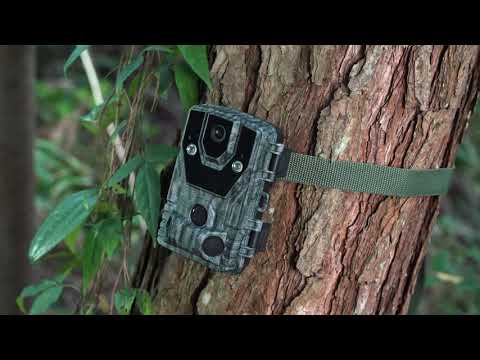 Punvoe LK226/PV226: Product Function Introduction of Punvoe Trail Camera