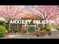 Anxiety Relief ⛅ Lofi Hip Hop Chill Music for Study, Work & Deep Focus 🌸 Cozy Morning Vibes