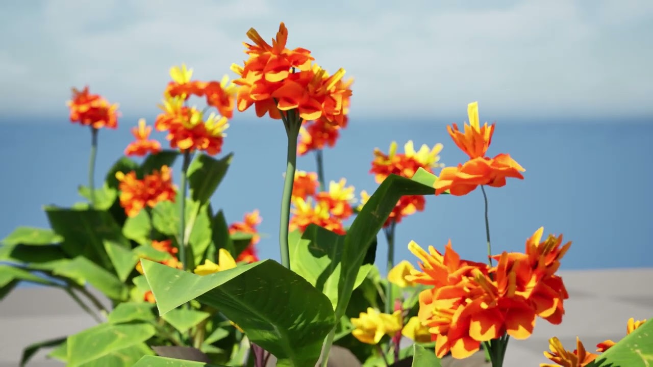 Presidente del Giglio di Canna Modello 3D