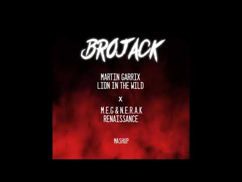 Martin Garrix - Lion In The Wild  VS  M.E.G. & N.E.R.A.K. - Renaissance