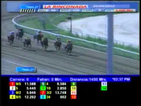 Resumen Sabado, 26 de Mayo de 2012 - La Rinconada