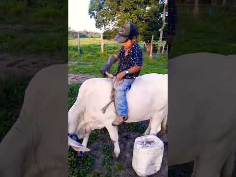 when I was just a baby