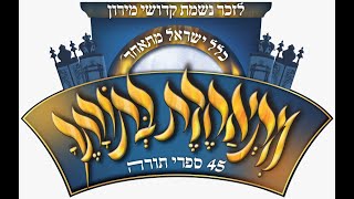 LIVE: 45 Sefrei Torah for the 45 Neshamos | מעמד ההיסטורי בשידור חי: תחילת כתיבת 45 ספרי התורה