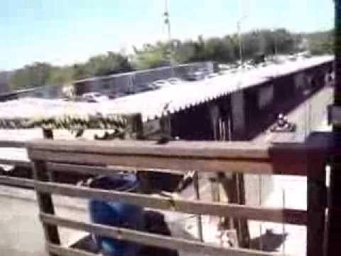 APKA - Endurance KGV 2013 - continuação