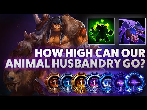 Rexxar Boars - HOW HIGH CAN OUR ANIMAL HUSBANDRY GO? - Hardstuck Bronze 5 Adventures 2022