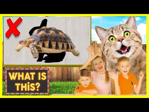 Pet Animal Names for Children ❤️ Learn Names of Pets for Kids in English Vocabulary | Pets for kids