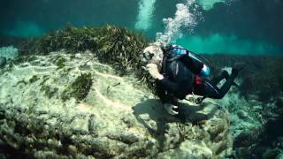 Sherwood Scuba Maximus Regulator