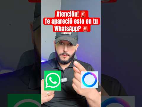 ¿Podría WhatsApp Ser de Pago en el Futuro?