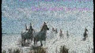 All The Pretty Little Ponies   Lyrics