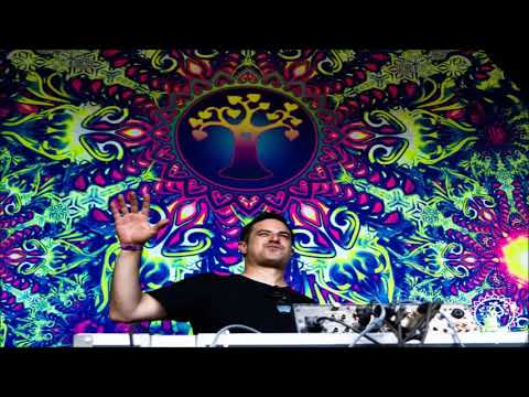 Shadow Chronicles -  Dj Set Gaian Dream Festival [2018]