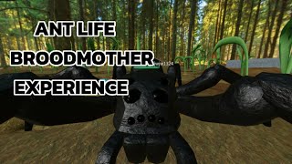 Ant life v2 broodmother experience