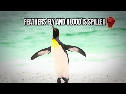 Penguins Aren't Cute—They're Killers