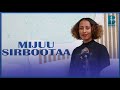 Mijuu Sirbootaa Sirboota Torban Kana Waliin Ha Ilaallu Bokkuu Multimedia