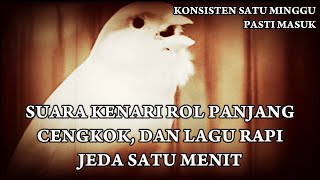 Download lagu masteran KENARI GACOR durasi panjang JEDA 1 MENIT mp3