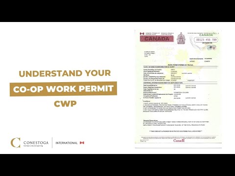 Understand Your Co-op Work Permit CWP