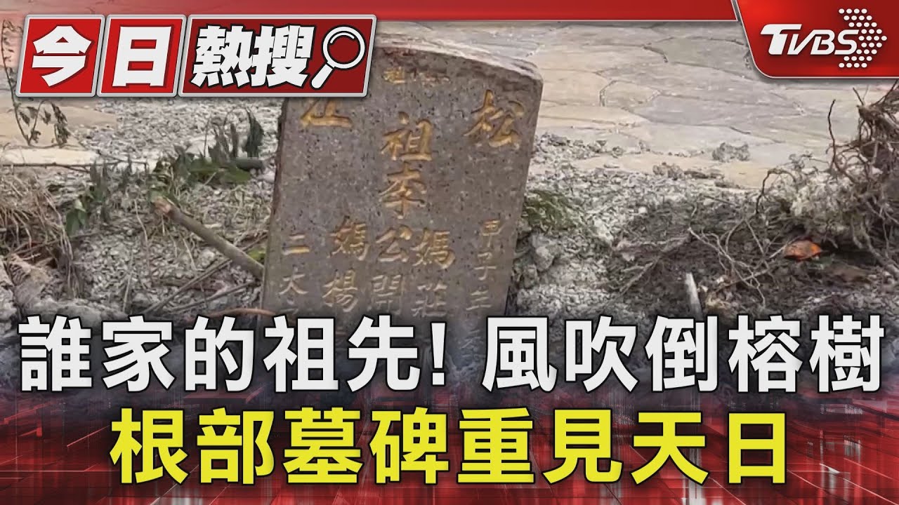 大榕樹倒塌壓機車 怪手移樹又毀車主慘叫
