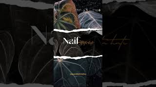 Download lagu Naif - Buta hati mp3 Download lagu Naif - Buta hati mp3