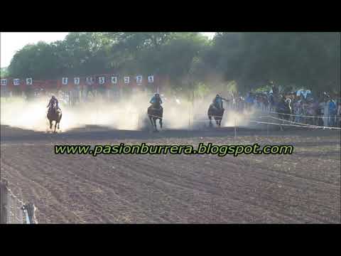 TIROLESCA, Pista Pangare - Cruz del Eje (10-02-19)