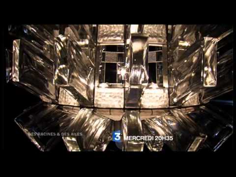 Réunica - Bande Annonce Des Racines et Des Ailes mercredi 23 novembre 2011