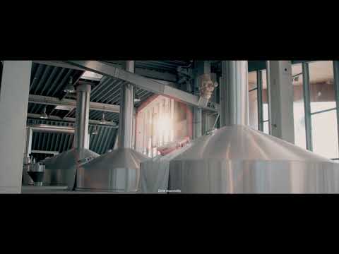 Duvel - Brewed To Be Back