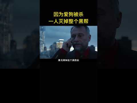 頂級殺手因爲愛狗被殺，一人滅掉整个黑幫