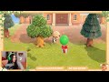 Cozily Destroying My Island Flattening LIVE