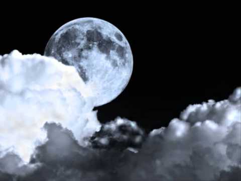 Dark Society - Deep Night