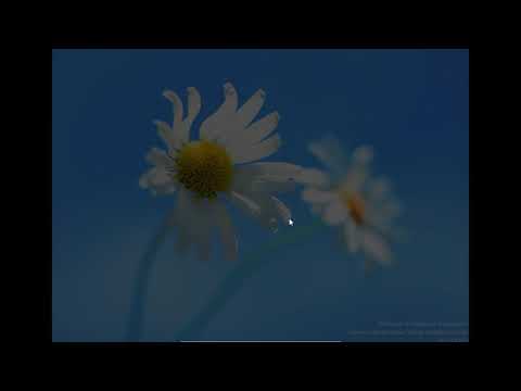 Curso de Windows Server 11 Instalacion Completa 07 Crear maquina