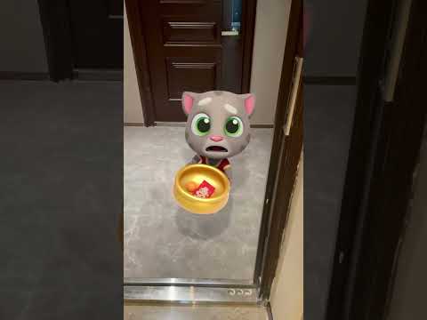 Lunar New Year Celebrations 🎆 Talking Tom #Shorts