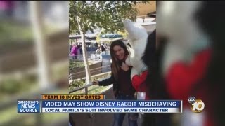 Video appears to show Disneyland character misbehaving video