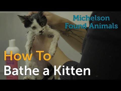 How to Bathe a Kitten - YouTube