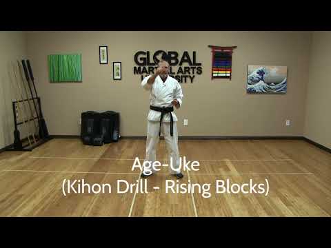 Shotokan Karate Beginner Follow Along Training Class  steps
