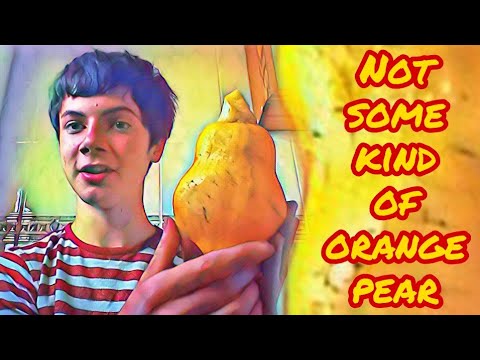 'It's Not Some Kind of Orange Pear!' (Koopa V Ocelot Remix)