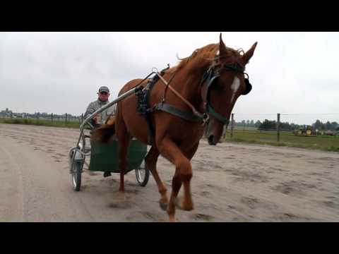 Edmon du Vivier - Entrainement van Dooyeweerd