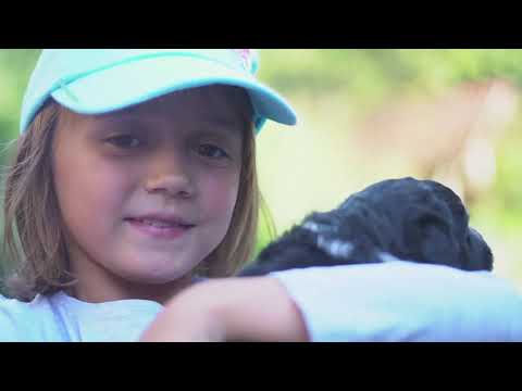 Odcinek 19   U Gazdy